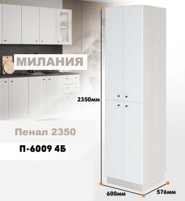 milaniia_p_6009 4b_1